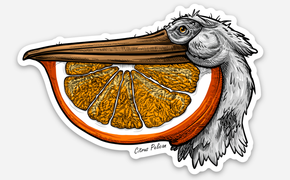 Citrus Pelican Sticker